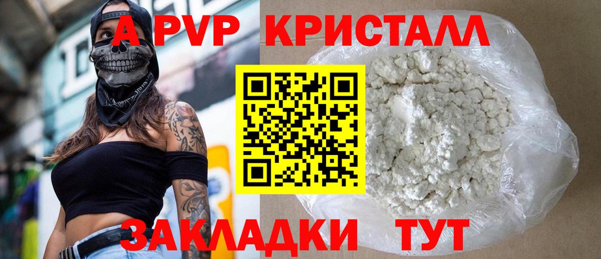 Alfa_PVP СК КРИС Череповец