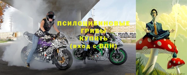 гидропоника Абаза